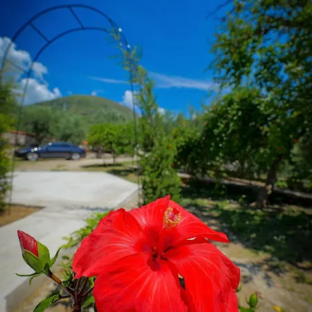 Shena The Farm Boutique Vendégház Mesopotam