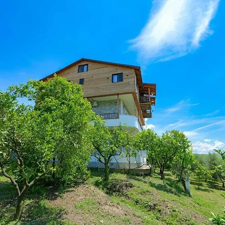 Shena The Farm Boutique