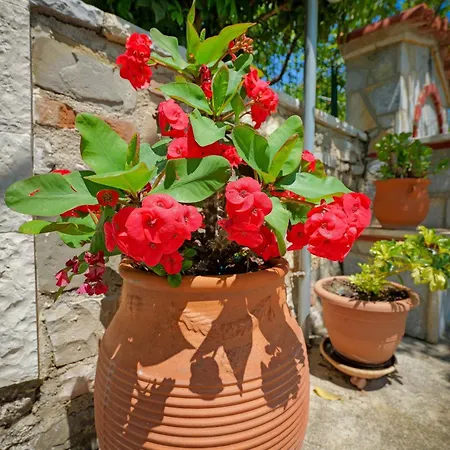 Guest house Shena The Farm Boutique Mesopotam