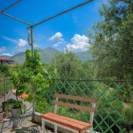 Guest house Shena The Farm Boutique