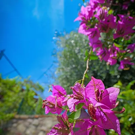 Shena The Farm Boutique Πανσιόν 3*