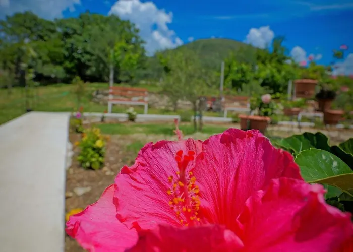 Shena The Farm Boutique Guest house