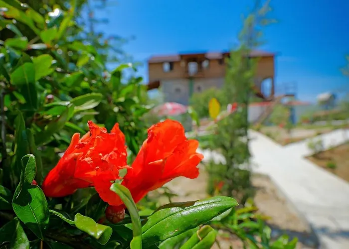 Shena The Farm Boutique 3*
