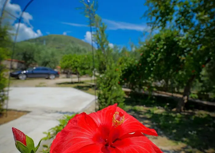 Shena The Farm Boutique Guest house Mesopotam