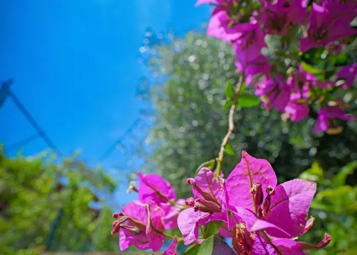 Shena The Farm Boutique Guest house 3*